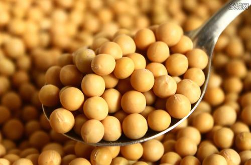 Composition and Functional Properties of Soybean Protein Isolates